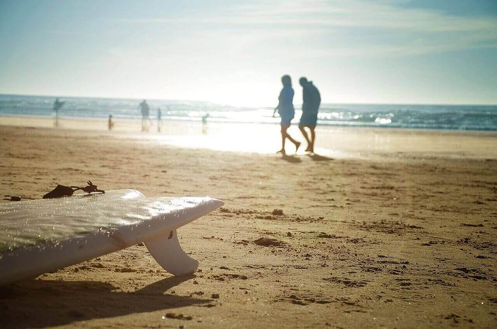 La Jolla – A Must-Visit Destination for a Memorable Experience in San Diego - SD Downtown Transportation