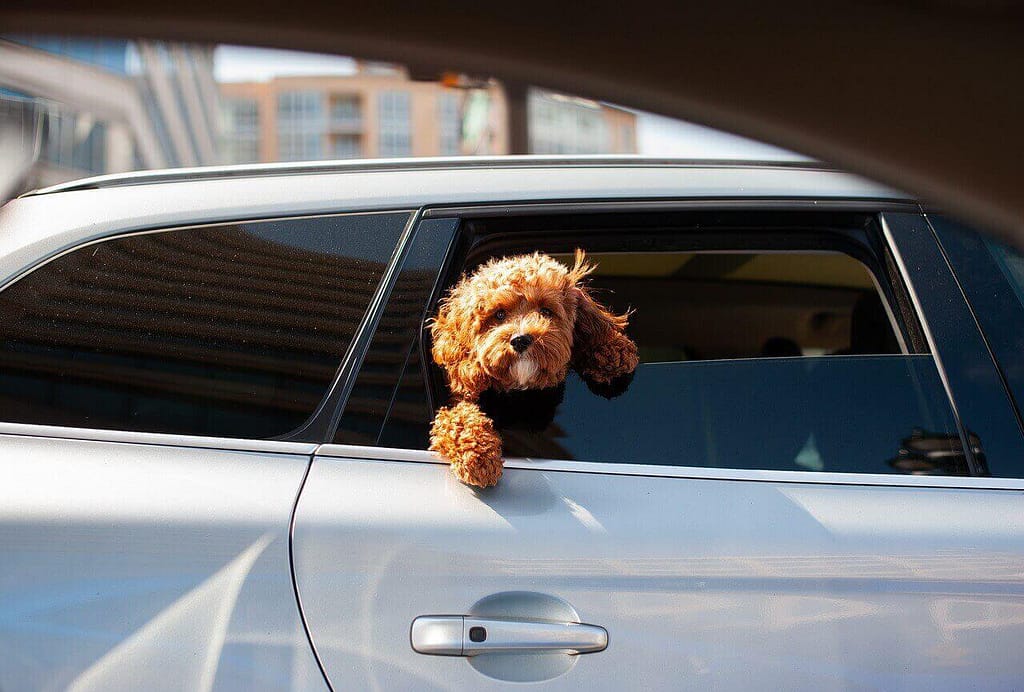 How to Schedule a Car Service from San Diego Airport