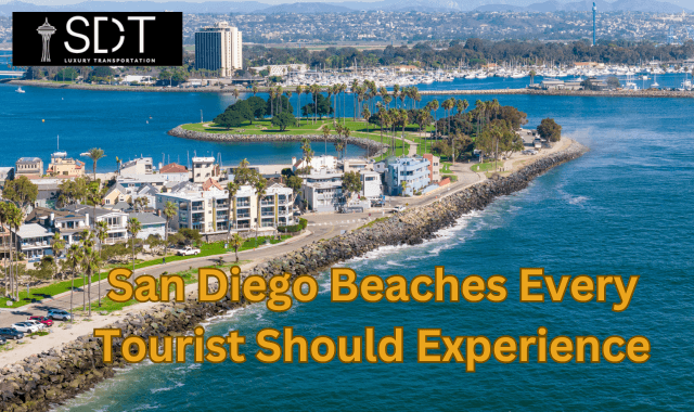 Must-Visit San Diego Beaches Every Tourist Should Experience | SD Downtown Transportation